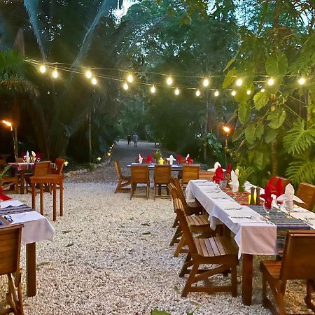 Mariposa Jungle Lodge San Ignacio Esterno foto
