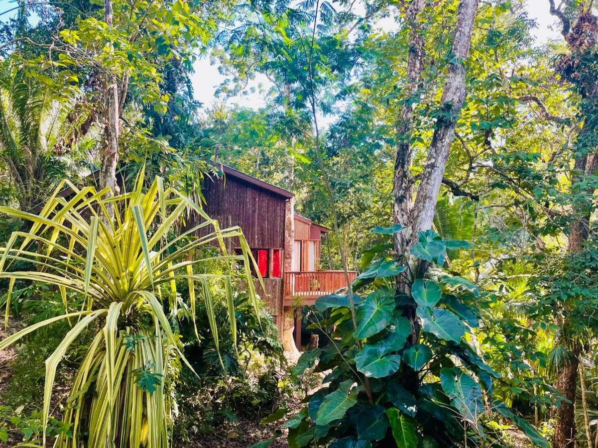 Mariposa Jungle Lodge San Ignacio Esterno foto