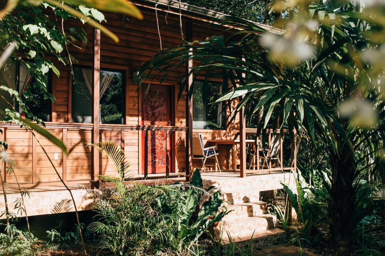 Mariposa Jungle Lodge San Ignacio Esterno foto