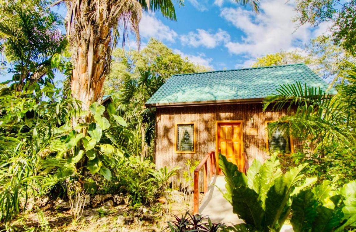 Mariposa Jungle Lodge San Ignacio Esterno foto