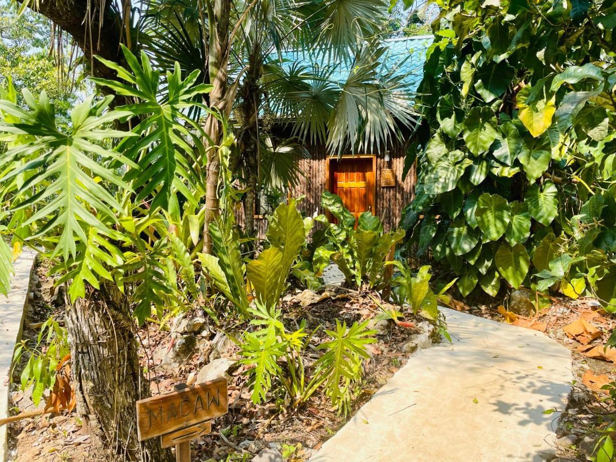 Mariposa Jungle Lodge San Ignacio Esterno foto