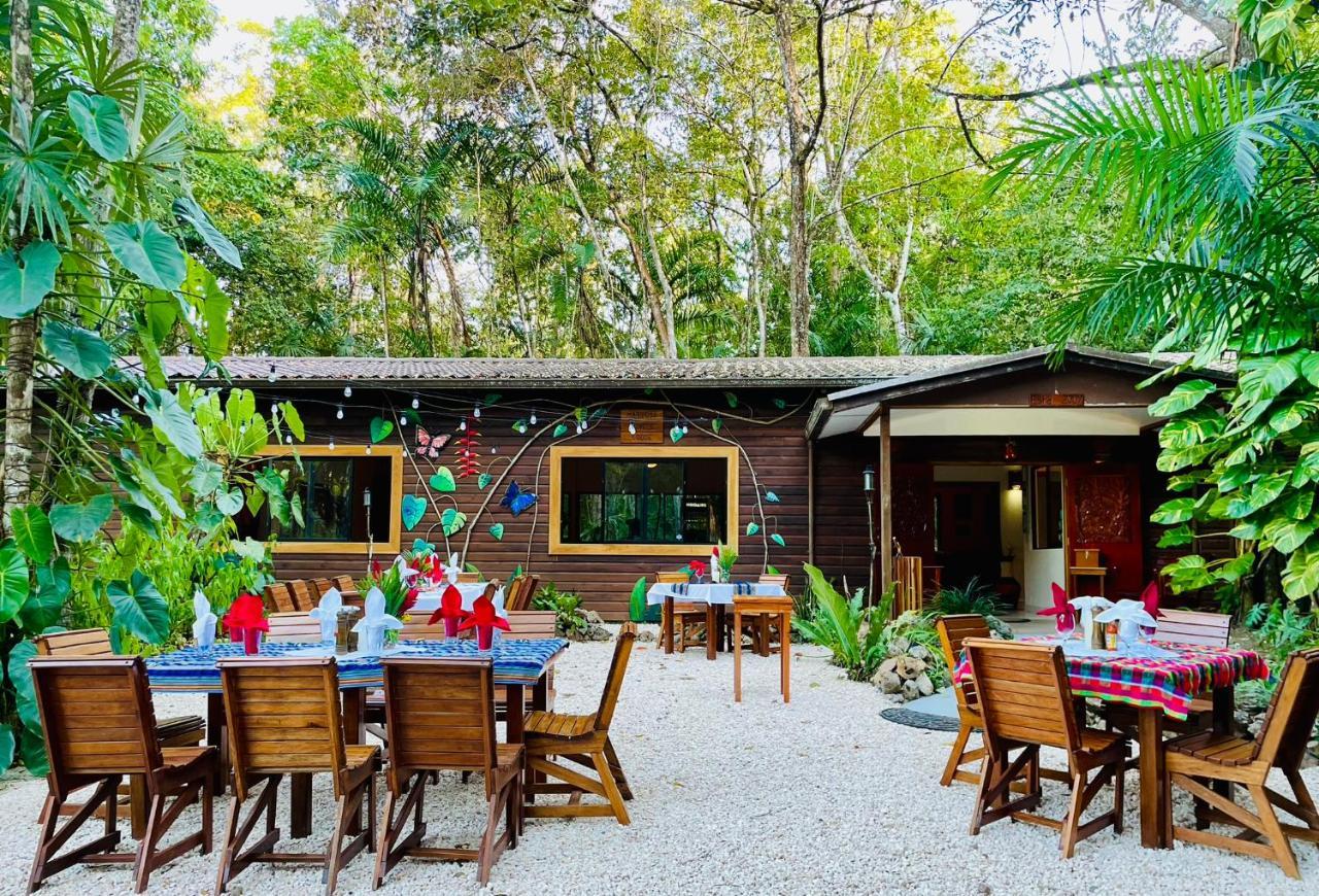 Mariposa Jungle Lodge San Ignacio Esterno foto